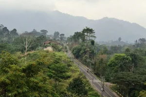 Pemprov Lampung susun “Integrated Area Development” berbasis perhutanan sosial