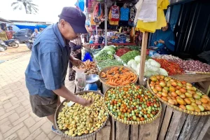 Pemprov Lampung Tingkatkan Pengawasan Harga Pangan untuk Jaga Inflasi Daerah