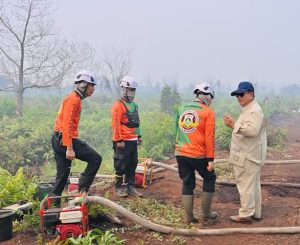 Karhutla Meluas, Presiden Perintahkan Penanganan Diperkuat, 72 Tersangka Diproses Polri