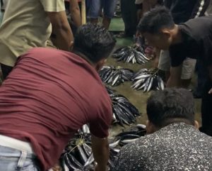 Banjir Tangkapan Ikan, Warga Kota Agung Berbondong-bondong Serbu Pasar Ikan