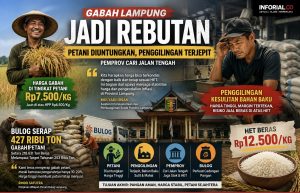 BULOG Lampung Serap 427 Ribu Ton, Mengapa Penggilingan Masih Kesulitan Gabah?