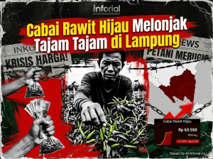Cabai Rawit Hijau Melonjak Tajam di Lampung